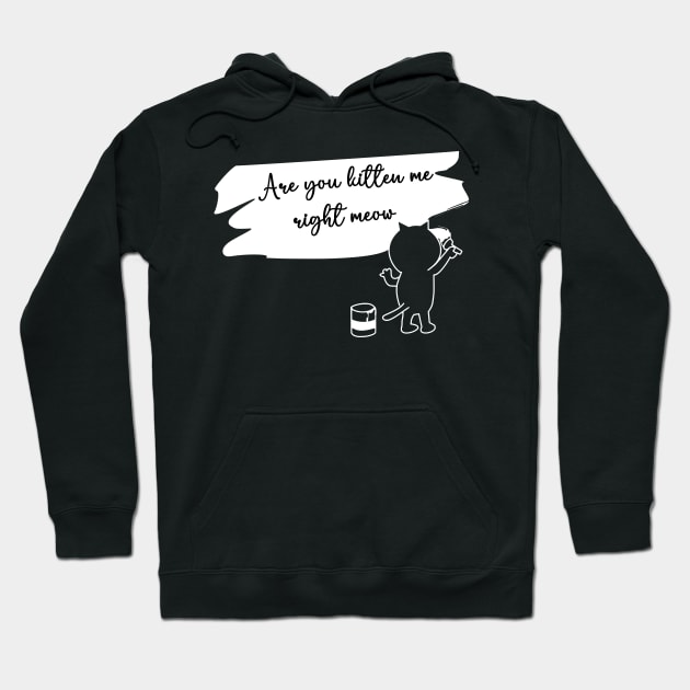 are you kitten me right meow Hoodie by ALLAMDZ